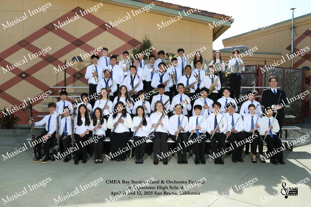 Musical Images